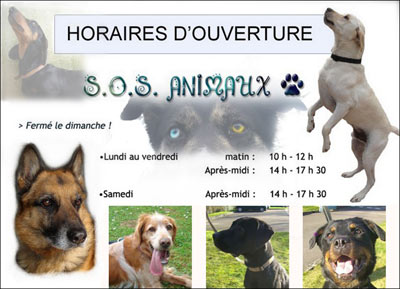 Horaires du refuge